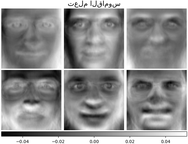 تعلم القاموس